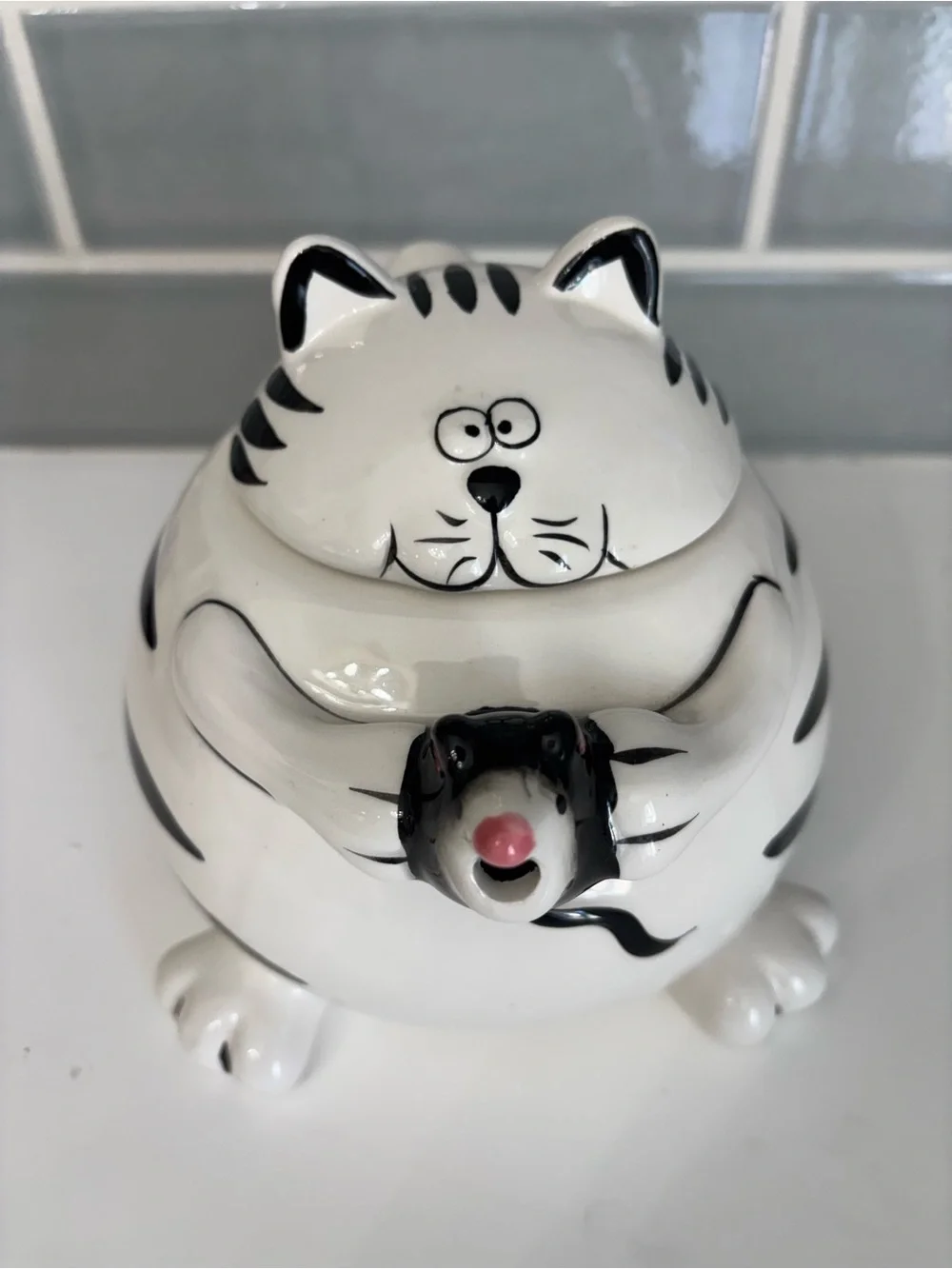Pier 1 Imports Fat Cat Teapot